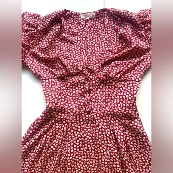 Eggie Red Floral Puff Sleeve Mini Dress – Small Romantic - Picture 5 of 7